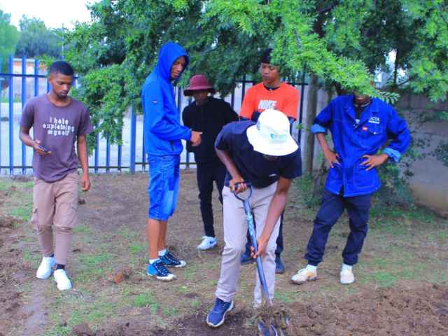 flavius mareka tvet college courses